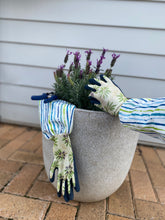 Olive with Stripe Sleeve