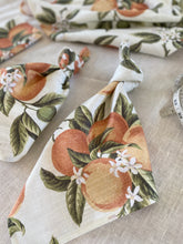 Orange Seville Napkins Set  of 2